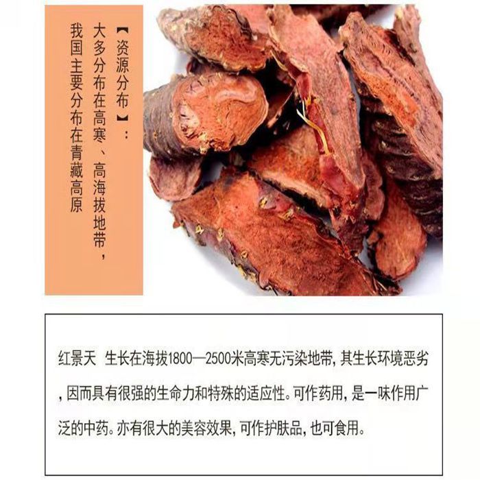 亏本卖中药材大花红景天西藏野生红景天片新货红景天250500克夜之君