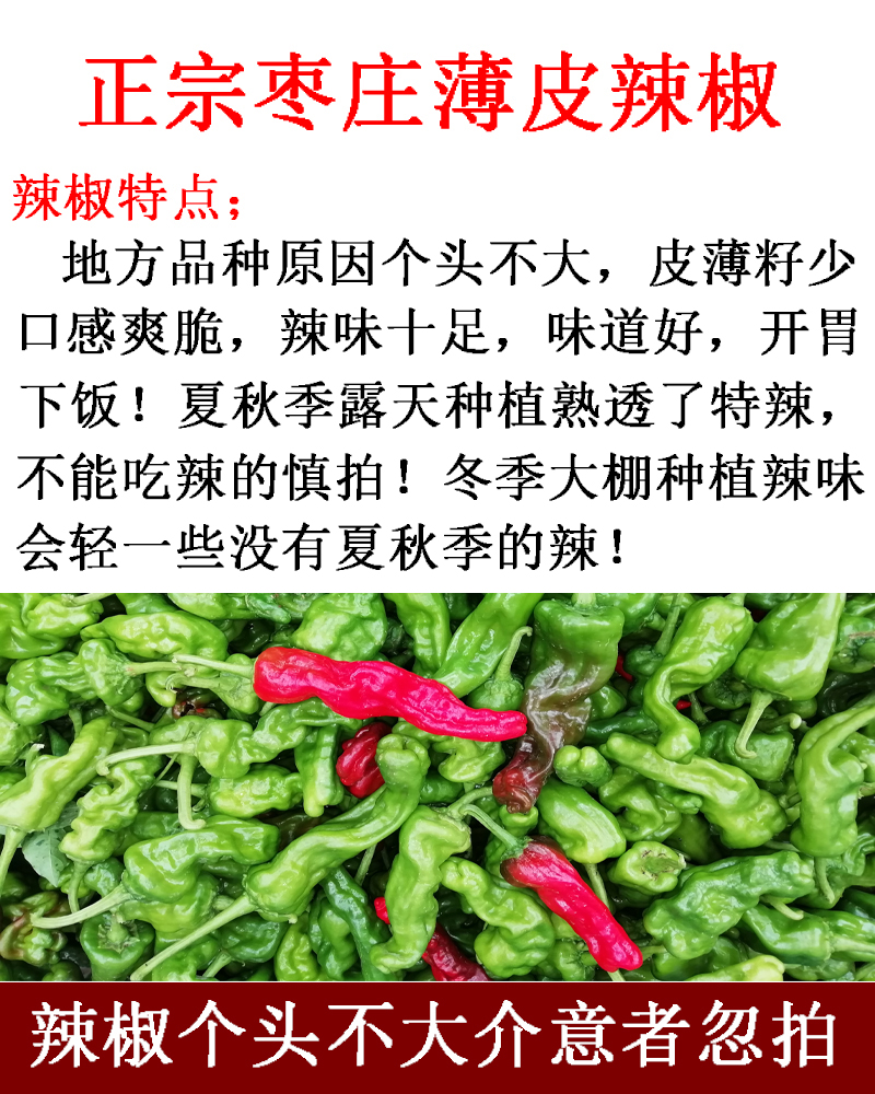 本地土辣椒薄皮小尖椒特辣超辣新鲜辣椒青红尖椒辣椒 5斤【图片 价格