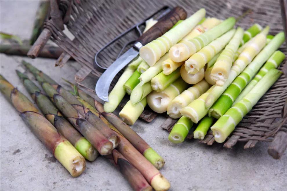 新鲜苦笋广东揭阳揭西大洋客家苦竹笋潮汕特产清水小竹笋春笋2斤1000g