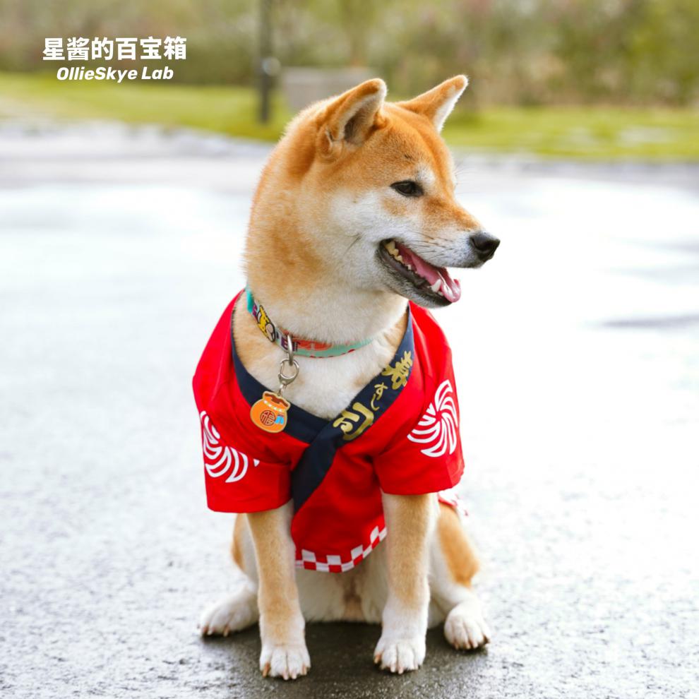 柴犬和服日系浴袍狗狗春夏款可爱衣服日式和风新年喜庆寿司师傅 一番