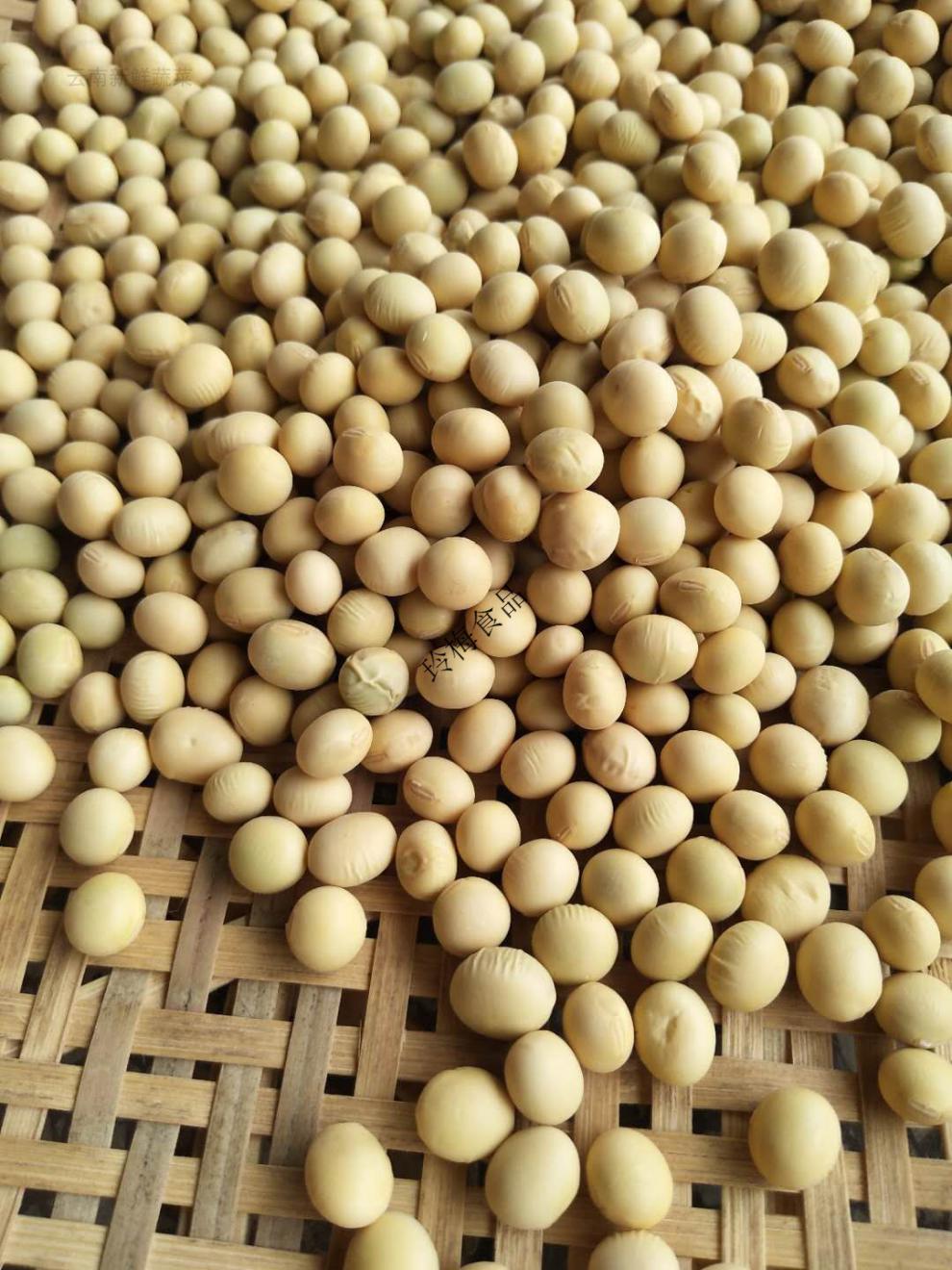 云南土黄豆5斤黄豆农家自种制新黄豆打豆浆专用笨黄豆【图片 价格