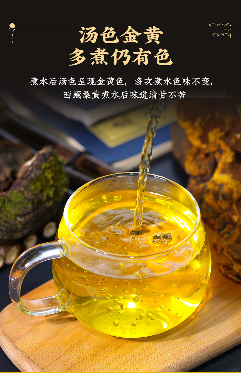 西藏野生桑树桑黄 桑黄菌种灵芝特级250g西藏自治区非500g