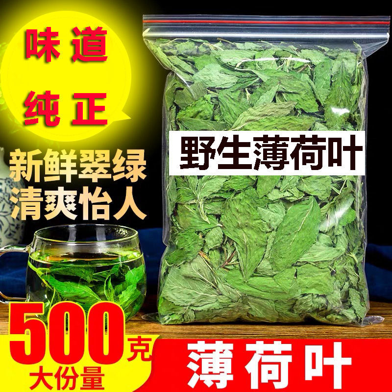 野生新鲜绿薄荷叶泡水清凉饮薄荷叶茶野生中提神干薄荷菜食用楚仲堂