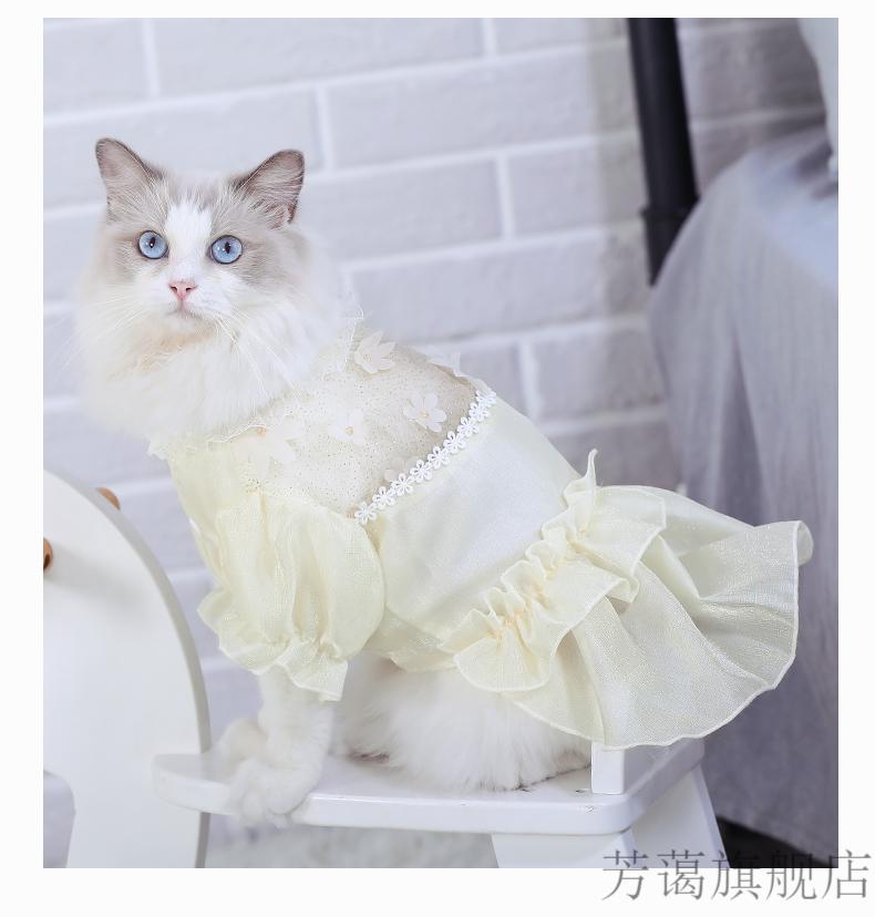 布偶猫公主裙 猫咪衣服布偶猫幼猫婚纱小猫夏季裙子仙女薄款可爱猫猫