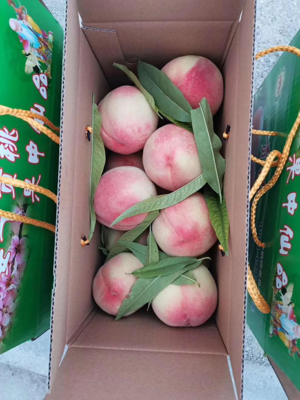 (顺丰空运/香甜爆汁)正宗兰州白凤桃 老树白粉桃水嫩多汁软桃生态