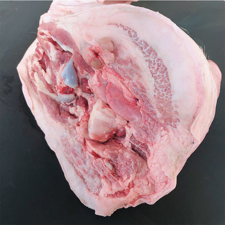 新鲜猪头生猪头整只猪头土猪头猪脸带耳朵猪脸猪头香妮曼特25斤头个