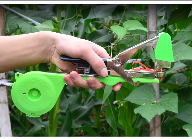 花玲珑 新款葡萄绑枝器绑蔓器捆绑机 西红柿番茄黄瓜绑架器 绑扎机