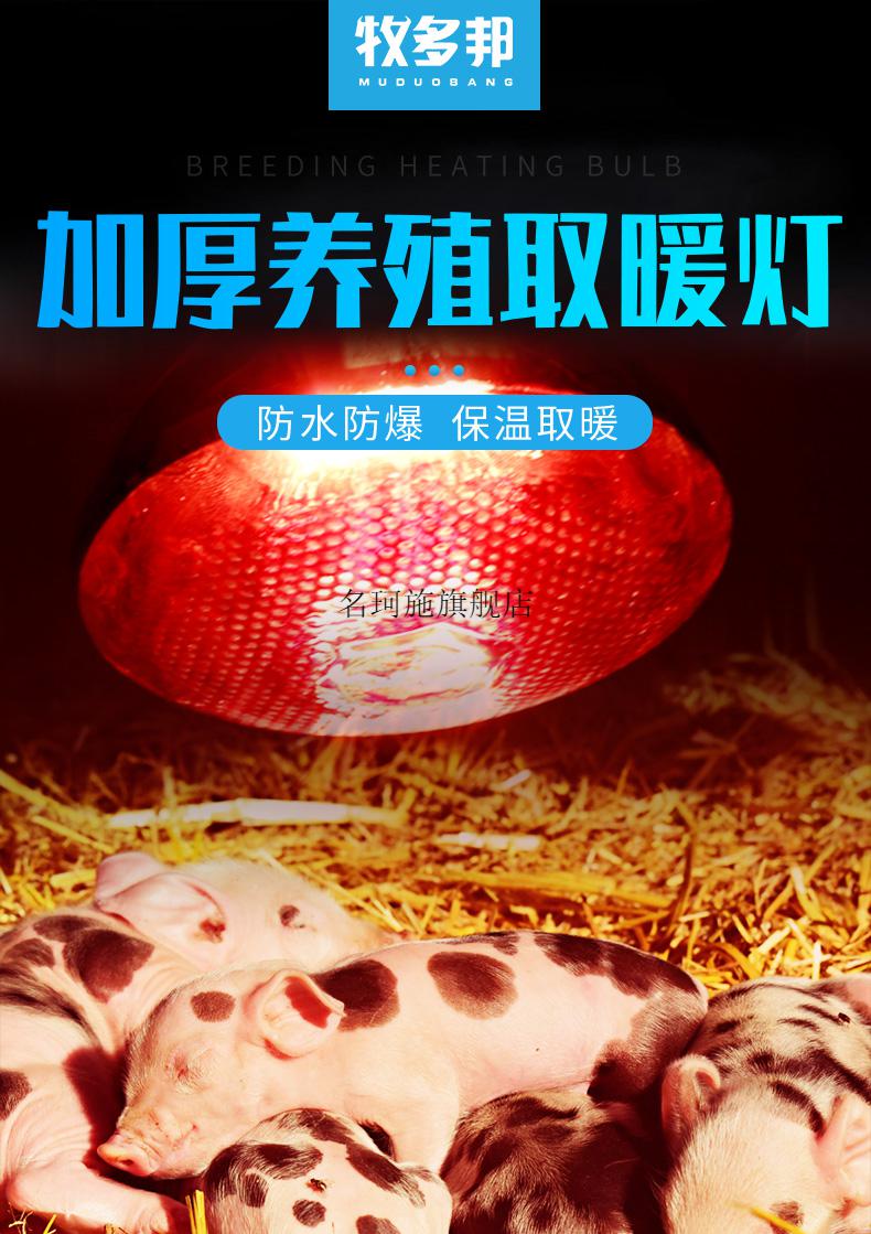 小鸡小鸭取暖灯 牧多邦保温灯养殖取暖灯泡小鸡育雏猪场用加热麻面