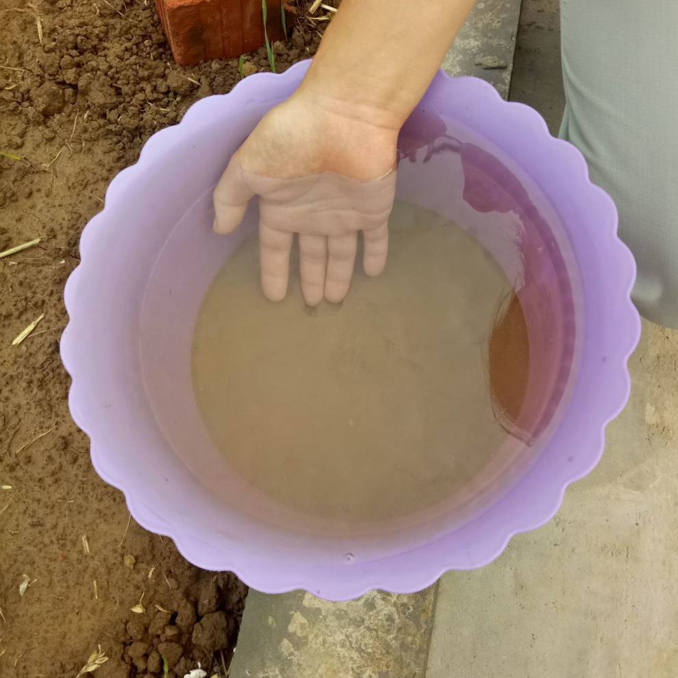 荷塘泥碗莲睡莲专用水生植物营养土塘泥河泥河塘泥淤泥种子土500克1包