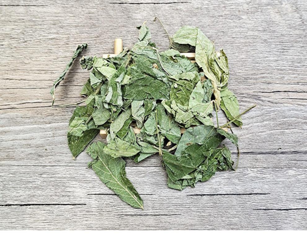 木豆叶500g中药材散装药用天然晒干木豆叶中草药非二仙汤