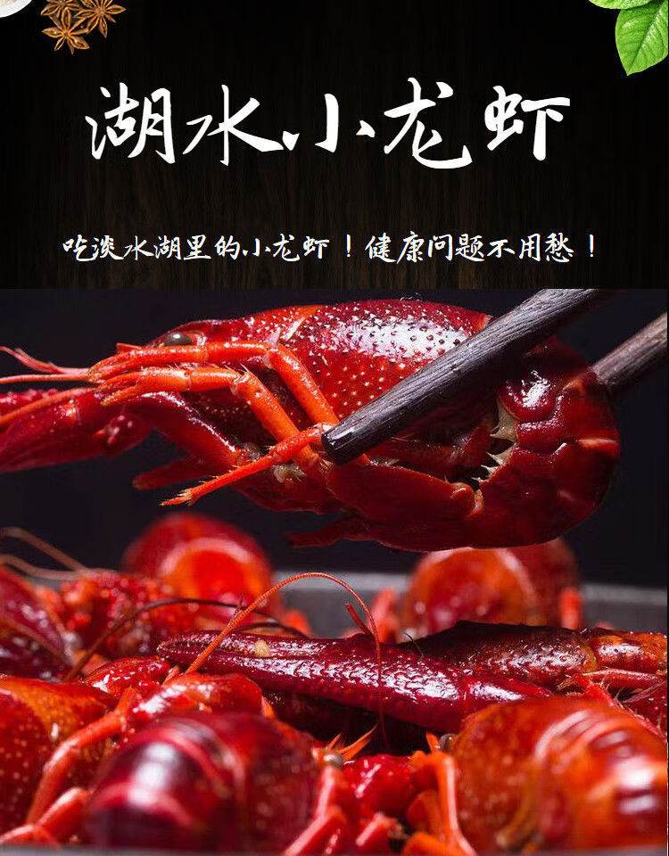 盱眙金湖小龙虾鲜活清水虾活虾稻田淡水红壳麻辣养殖满肉水产批发中