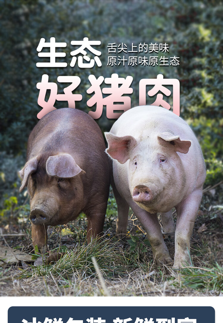 王明公新鲜猪瘦肉3斤大别山农家土猪精瘦肉新鲜现杀