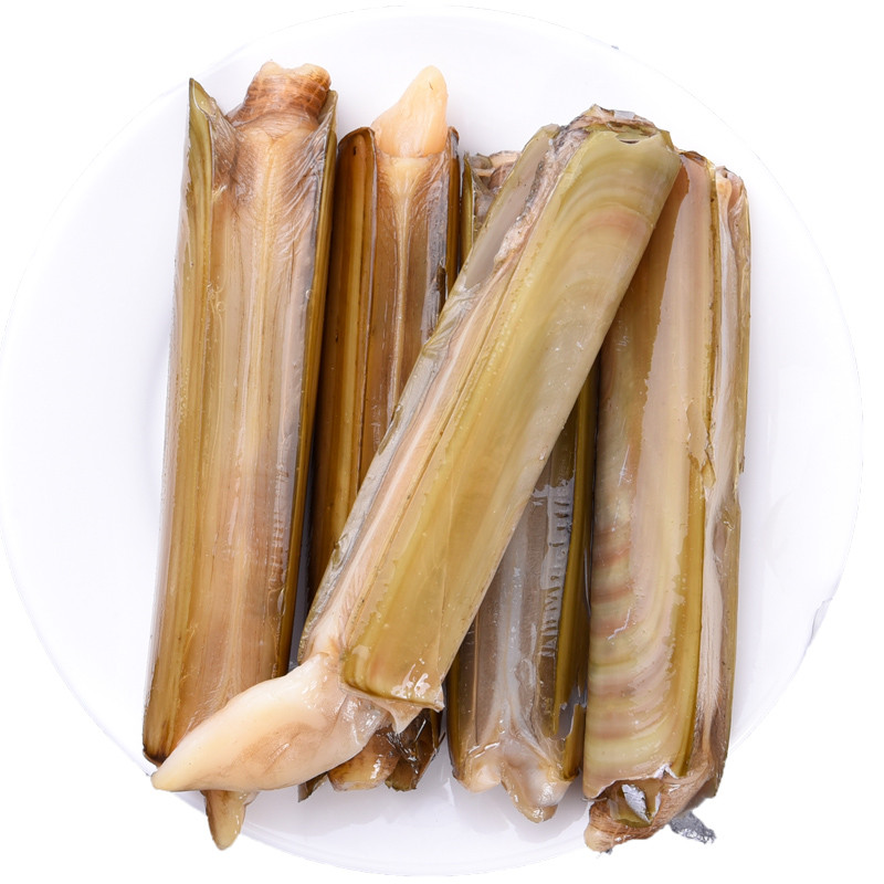 【顺丰现货】鲜活小竹蛏 竹节蛏 手指蛏 竹蛏 大蛏子 海鲜水产 5斤