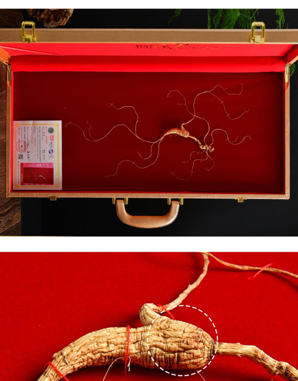 30年野山参一等人参国检礼盒泡酒25年林下参长白山老山参桔色10g