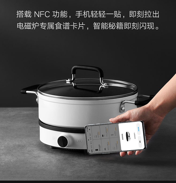 小米（MI）米家电磁炉家用组合套装双频迷你型火锅煮汤锅火力智能温控灶 米家电磁炉