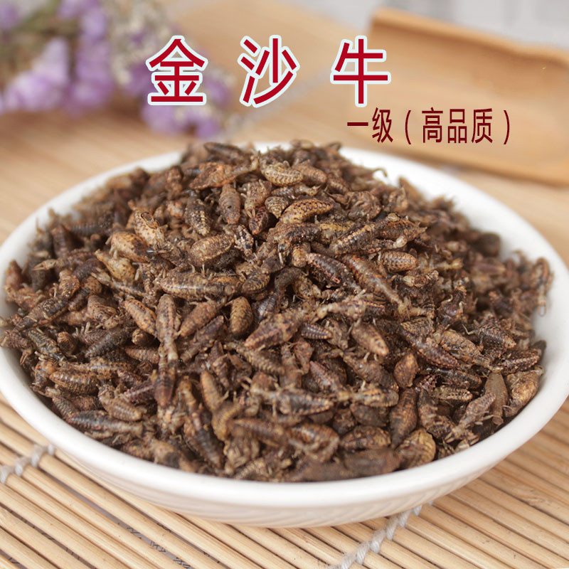 中药材金沙牛10克新货无沙蚁狮金砂牛地牯牛砂牛虫干品金沙牛【图片 