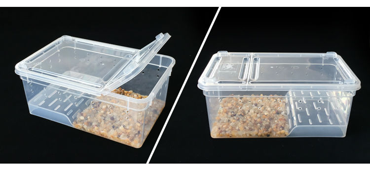 分养盒蚕宝宝饲养盒养蚕盒大学生养蚕套装工具彩蚕宝宝手提盒子桑叶