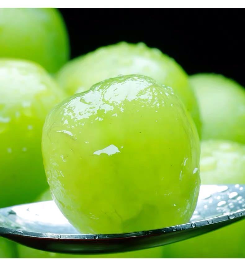 云南现摘阳光玫瑰葡萄香印青提当季水果晴王无籽新鲜提子迷你颗粒试吃