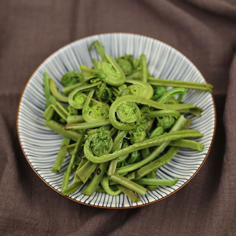 东北山野菜新鲜广东菜野生黄瓜香荚果蕨长白山特产500克 3袋1500g