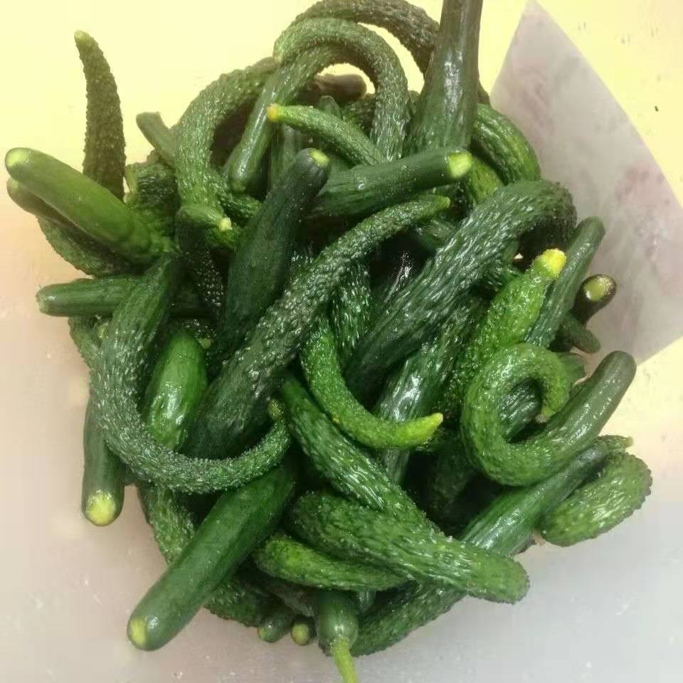 新鲜黄瓜扭新鲜小黄瓜妞 手工腌制嫩黄瓜仔现摘现发【加冰发货】 精选