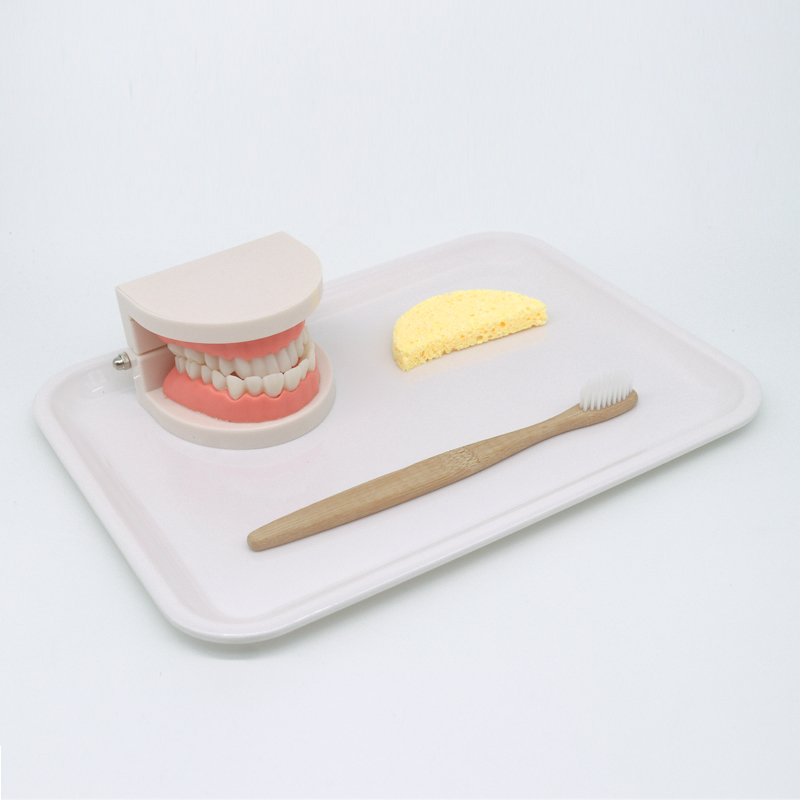 【京选优品】蒙氏教具2岁儿童刷牙洗漱套装认识牙齿模型婴幼儿早教