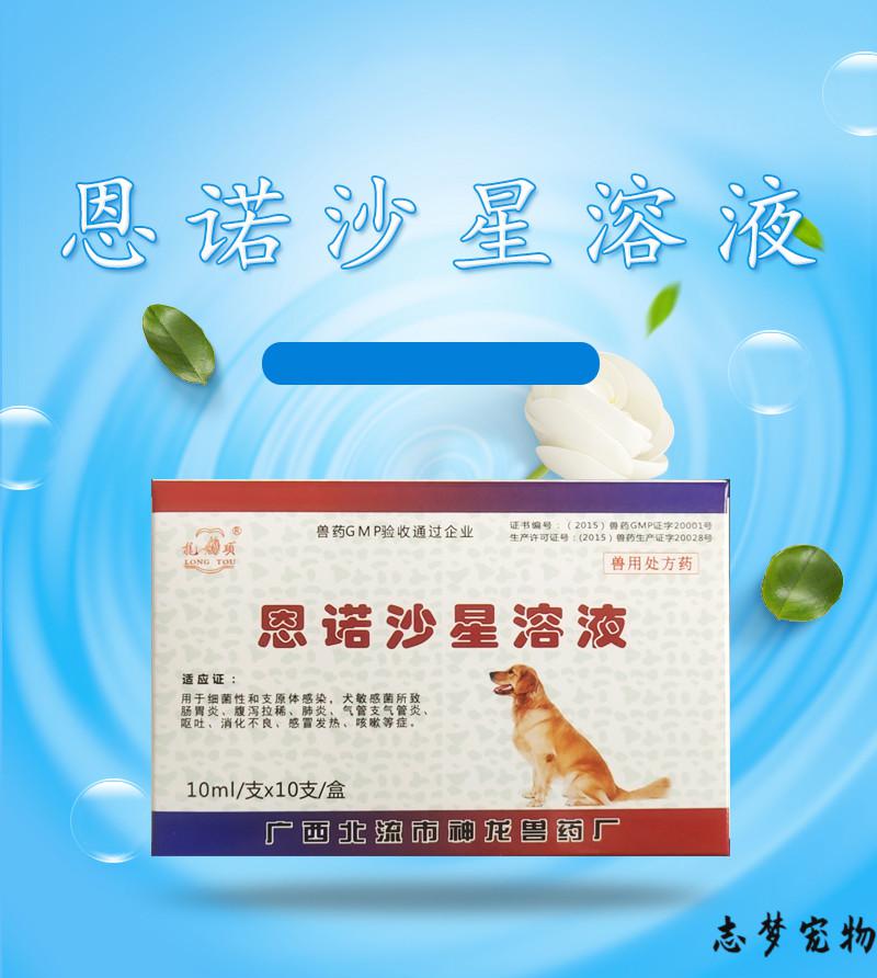 宠物猫狗犬病口服液恩诺沙星溶液腹泻便血流咳嗽拉稀呕吐肠炎 犬病速