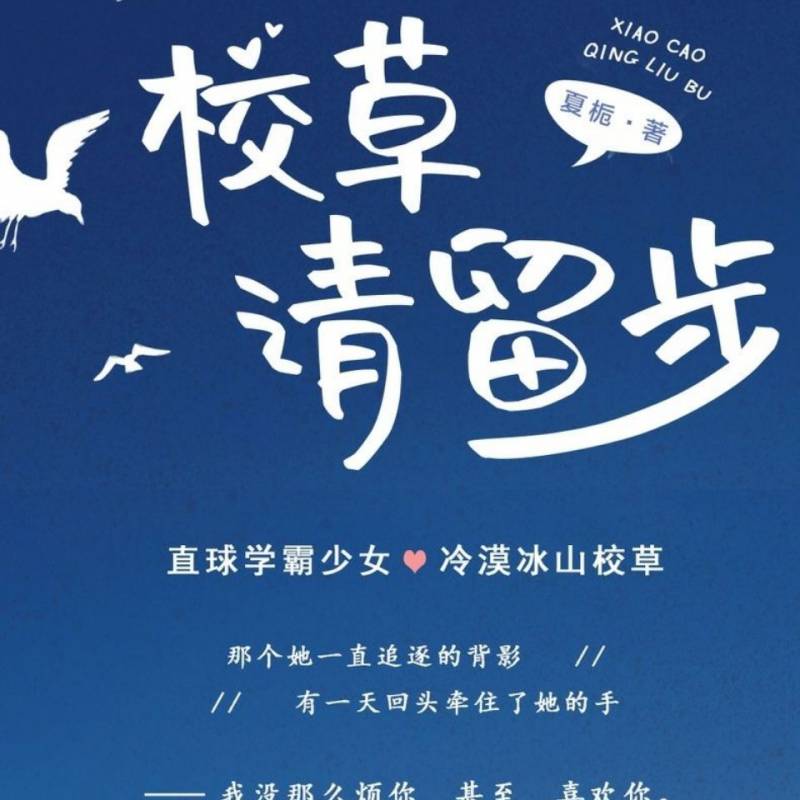 《校草请留步 夏栀 花火青春校园高甜文女生初恋爱情学霸言情小说书