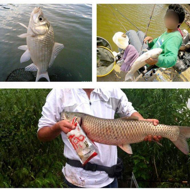 疯钓鲫本味浓香饵料鱼饵疯钓鲫本味香120克野钓四季通用鲫鱼配方香味