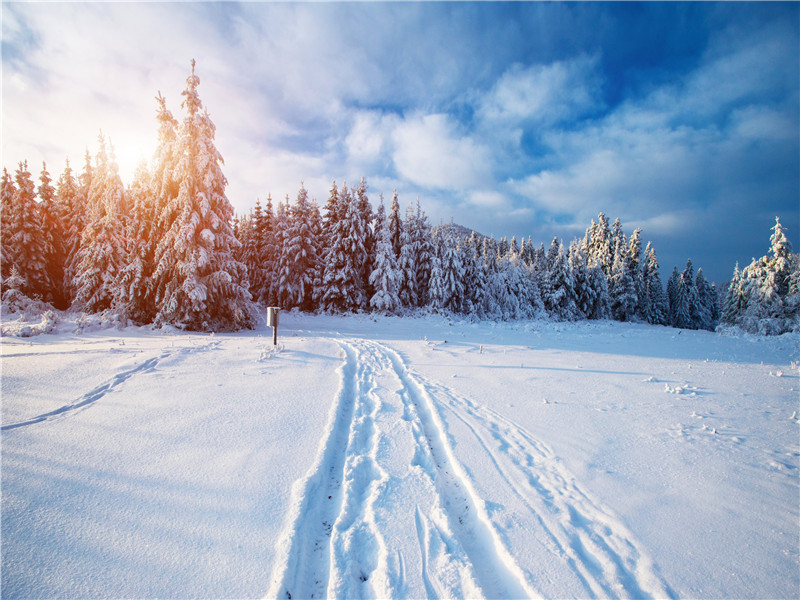 农村背景布直播间农村破房屋直播背景布3d立体高清雪景快手抖音网红