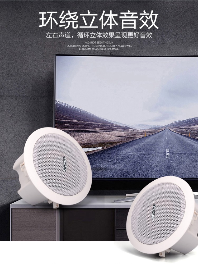 喇叭音响套装 家用天花吊顶音箱背景音乐公共广播音响 (蓝牙版主音箱1