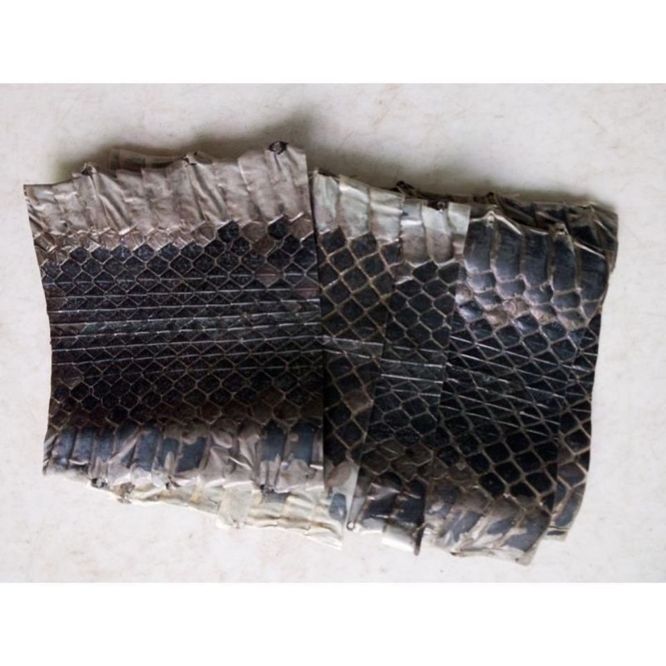 优品京胡蛇皮乌稍蛇皮京胡配件优品京胡蛇皮乌稍蛇皮京胡配件10厘米长