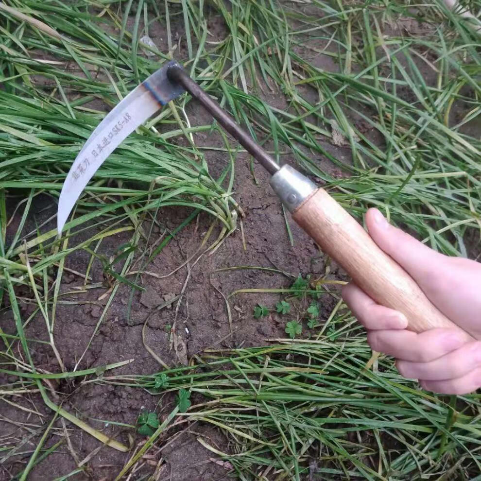 进口割韭菜专用小镰刀家用工具超锋利小号割刀子大棚蔬菜刀割