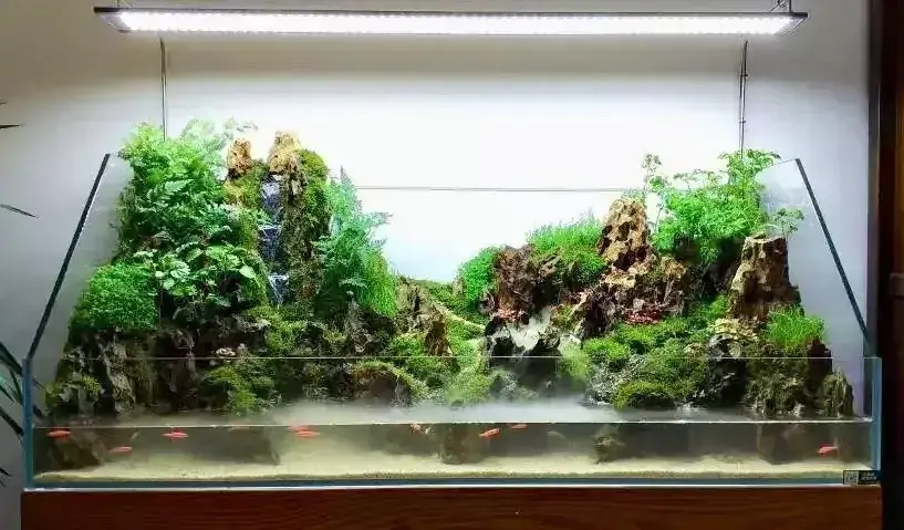 可开票超白水陆鱼缸植物造景缸微景观斜口造景缸金晶玻璃两栖生态缸