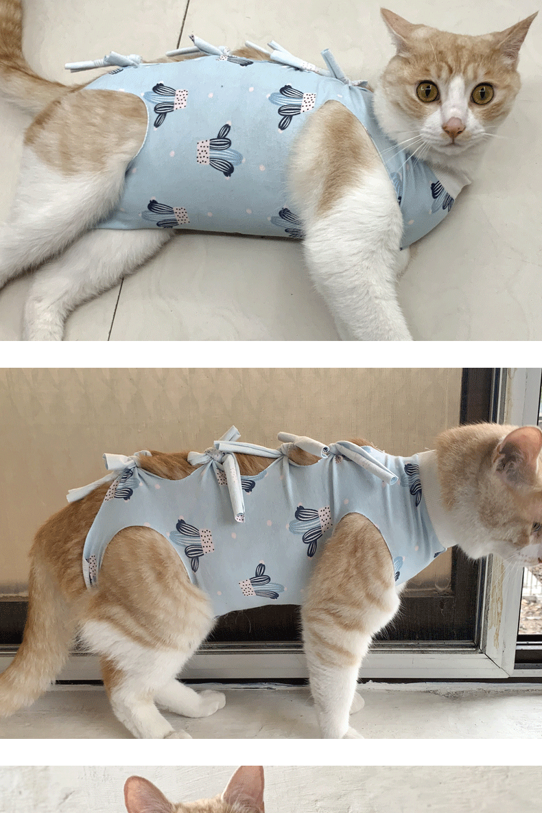 唐宠 猫绝育服猫咪手术衣夏季断奶服防舔防挣脱术后服母猫驱虫透气