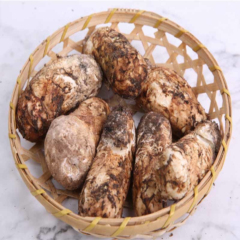 顺丰空运礼盒装松茸新鲜野生长白山鲜松茸菌东北特产野生菌500g营养3