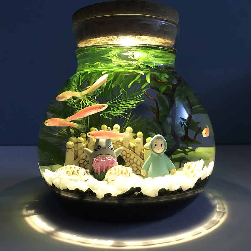 箱造景斗鱼缸创意缸办公桌面书桌客厅观赏玻璃缸小号斑马鱼款单色灯