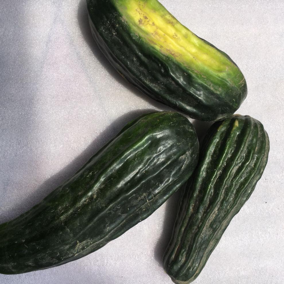 【无糖甜瓜】鑫勇泰现摘新鲜菜瓜带箱5斤酥瓜水果脆瓜黑皮菜瓜香甜梢