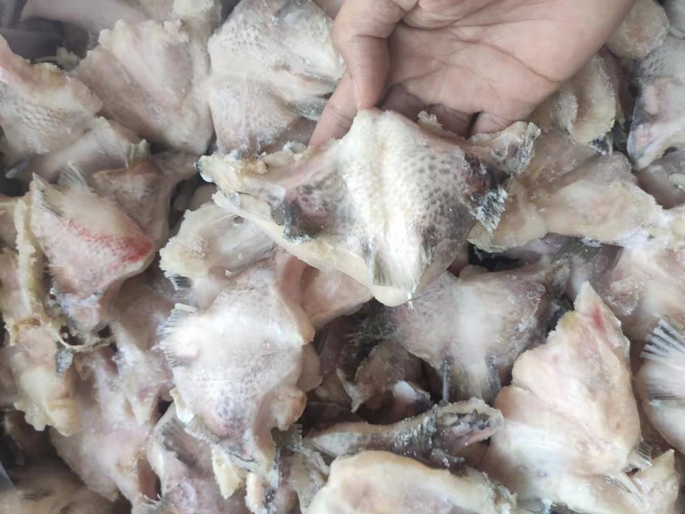 fghgf 大鱼下巴4斤带冰约30个鱼鳃 鲷鱼罗非鱼海鲜冷冻新鲜火锅烧烤