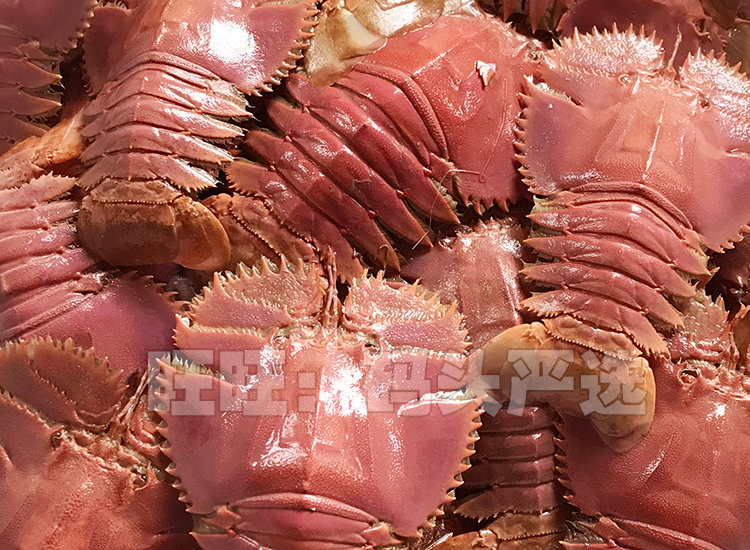 铭心 野生琵琶虾 新鲜九齿扇虾 虾姑排毛缘扇虾东方大虾扁虾排鲜活