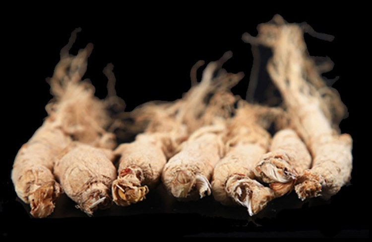 官方旗舰精选人参芦头100g白参头长白山生晒参芦磺吉林特产园参参头