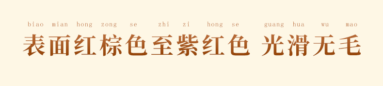 22f1a306a108fb3e.jpg