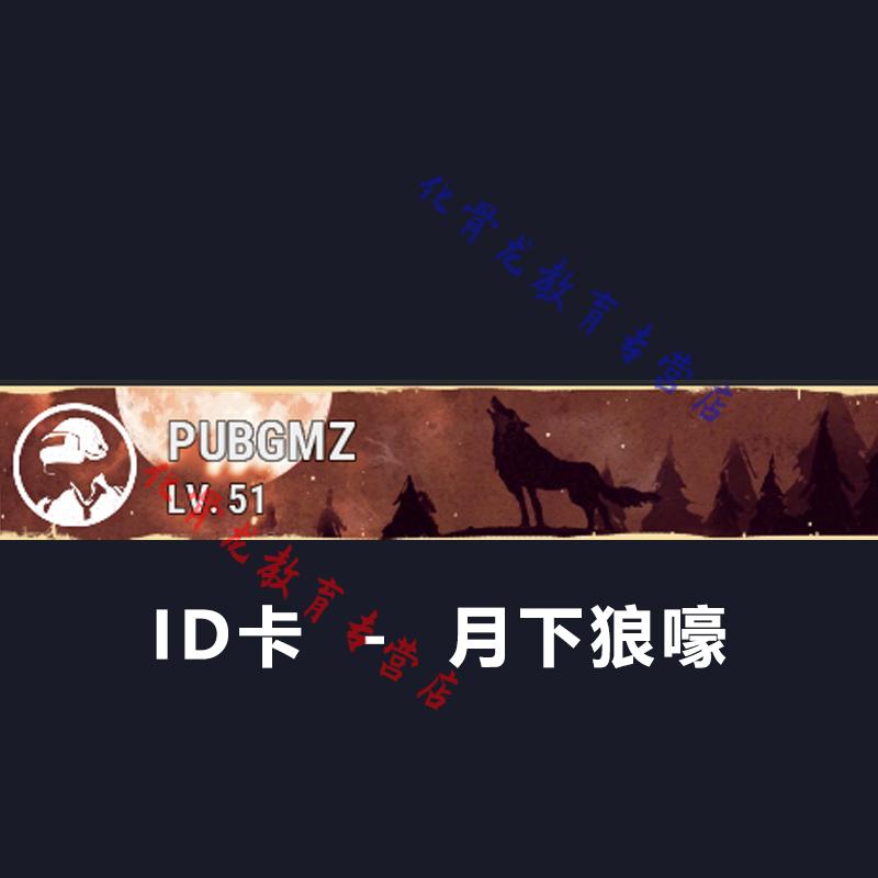 月下狼嚎动态id卡端游吃鸡 id卡-落幕品牌:机小智加入购物车本店好评