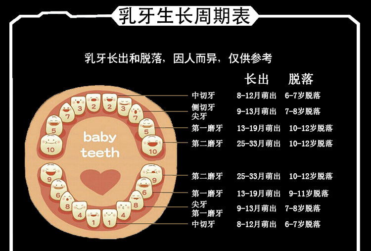 儿童牙齿年龄对照表图片