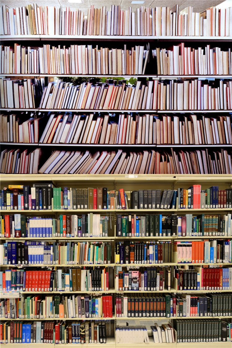 书架背景布3d立体书柜直播背景墙讲师主播录视频背景布书架书房拍摄