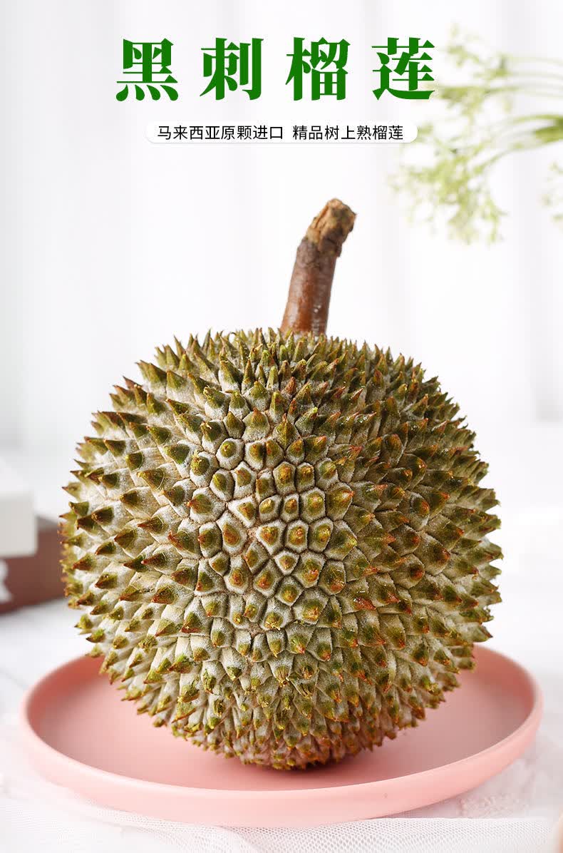 【顺丰-多地次日达】马来西亚黑刺榴莲d200带壳榴莲液氮树上熟 2.7-3.
