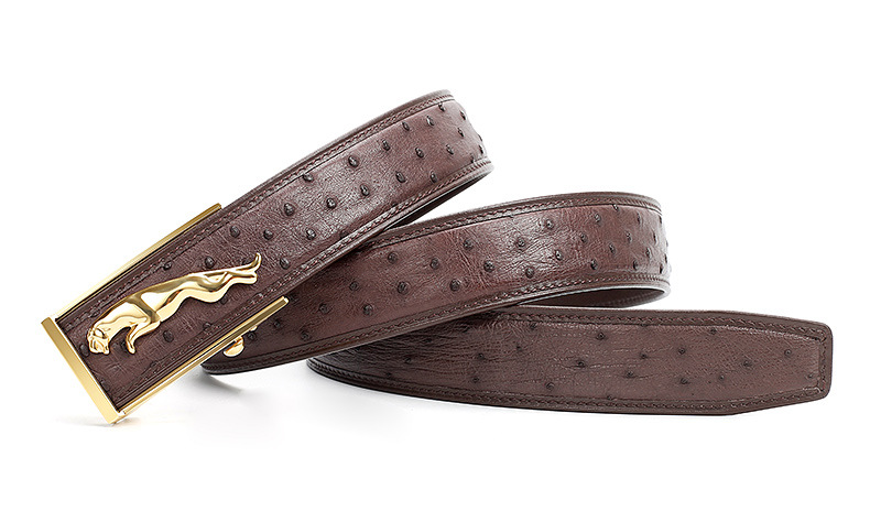 正资(zhengzi)高端轻奢侈品牌稀有南非鸵鸟真皮男士皮带裤腰带520生日