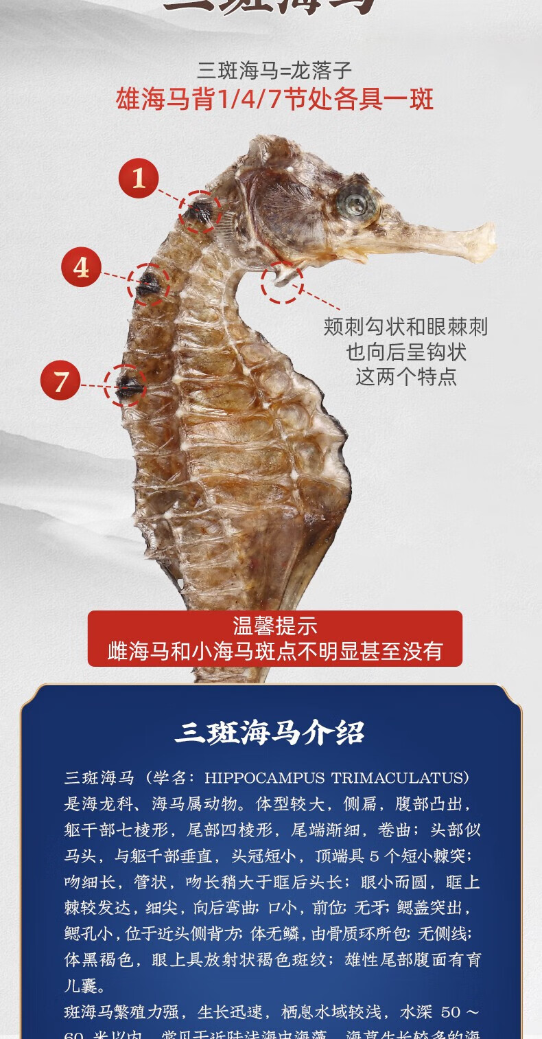 海马干货中药材营养煲汤补品泡酒公母配对中草药泡酒料 【三斑公母