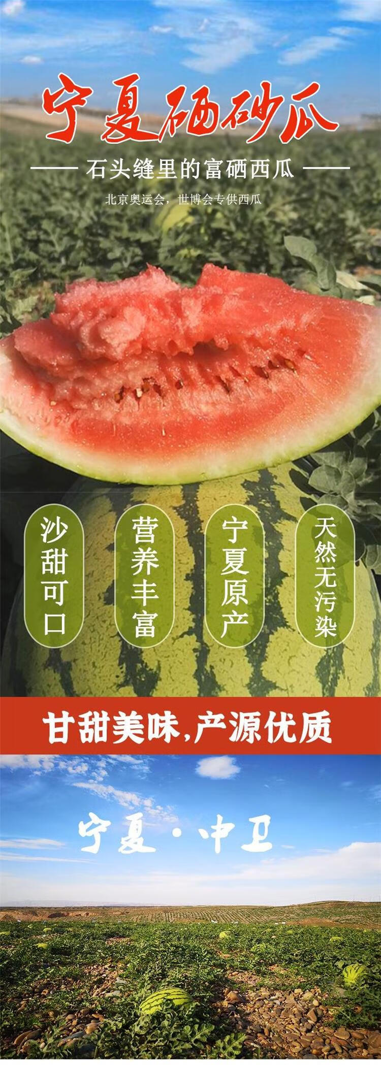 骄瑰 正宗宁夏中卫富硒砂西瓜宁夏沙瓤西瓜新鲜水果石头西瓜应季特产