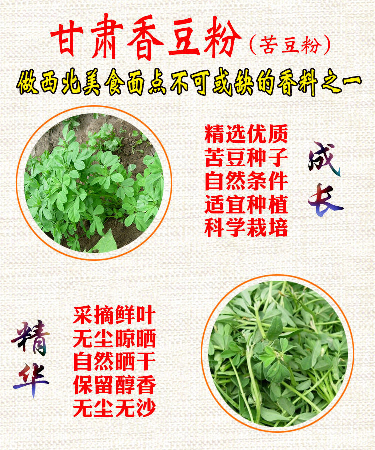甘肃定西特产农家新货香豆子粉苦豆粉花卷蒸馍调料香苜蓿瓶装 香豆粉