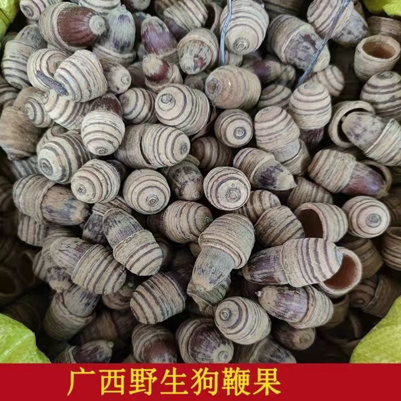 医味广西野生 狗鞭果毛毛果猪仔粒凸型风流果男人泡酒中药材阳鞭果